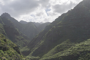 青山