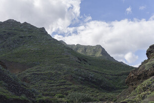 青山