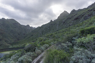 青山