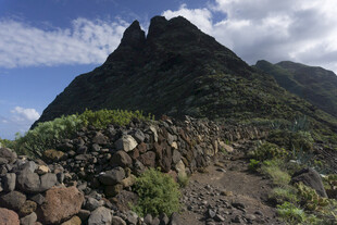 青山