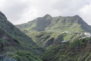 青山