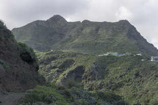山峦 植被 