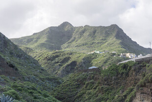 青山 