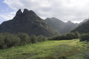 山脉 草地 