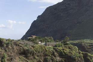 山景 绿植