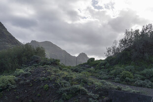 青山 