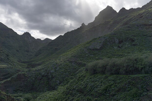 青山 