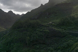 青山 