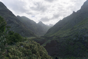 青山 