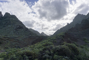 山峦 植被