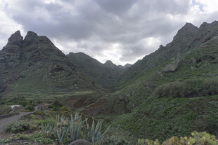 山峦 植被