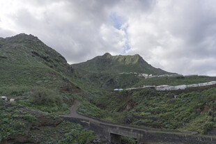 山峦 植被