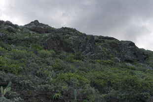 山峦 云雾