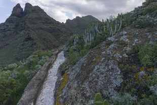 植被 山峰 