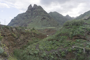 山峰 植被