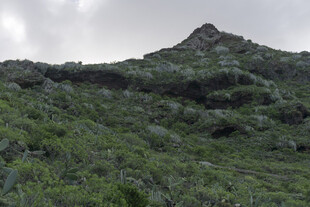 山峦 植被