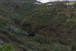 山峦 植被