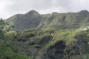 山峦 植被