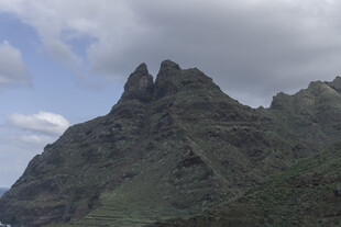 岩石 植被