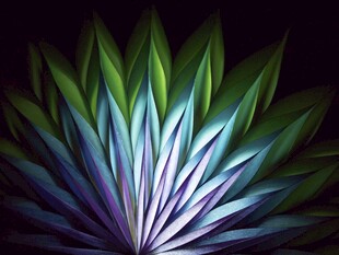 绚丽多彩的抽象花朵图案