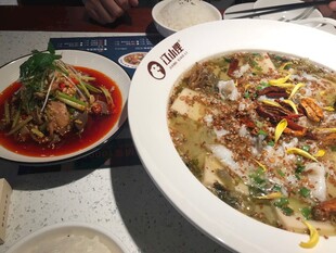 美味中式菜肴诱人呈现