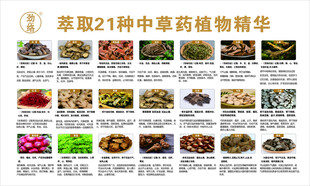 劲络