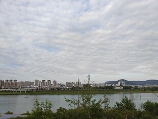 河畔城市风光远眺
