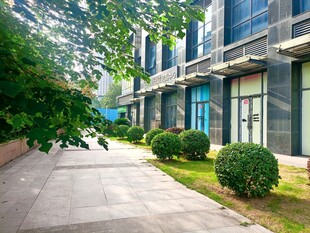 现代建筑旁的绿植小径