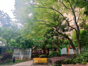 公园绿荫下的休闲长椅