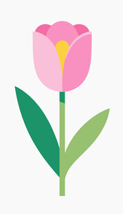 粉色郁金香插画