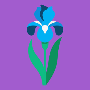 紫色鸢尾花插画