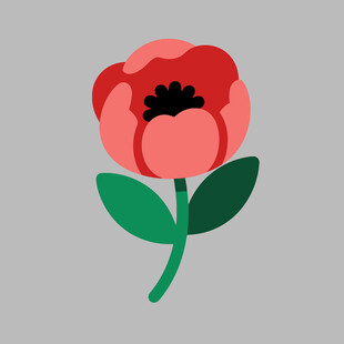 简约风红色花朵插画