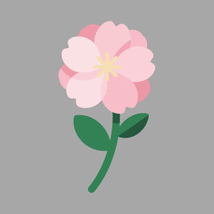 粉色花朵插画