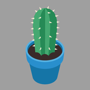 蓝色花盆中的绿色仙人掌