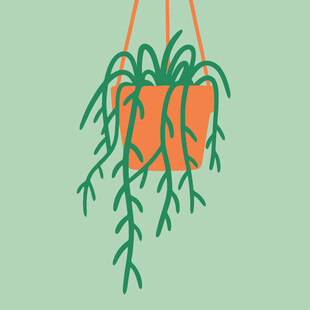 悬挂绿植盆栽插画