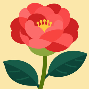 鲜艳红花朵插画