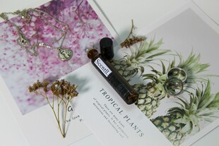 干花与文具的文艺组合