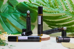 多样美妆产品与绿植搭配