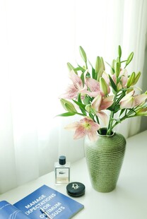 花瓶插花营造温馨桌面氛围