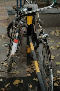 秋日街头停放的复古自行车