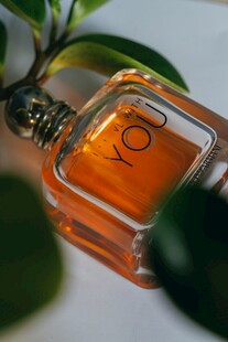 精致香水瓶与绿植相伴