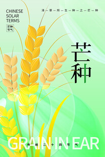 芒种时节麦穗插画