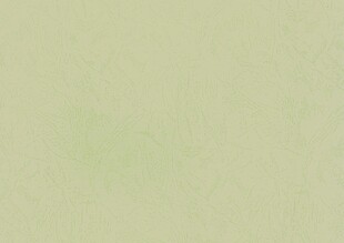 淡绿色背景纹理图