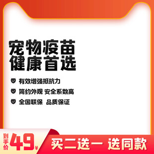 大气京东电商促销模板