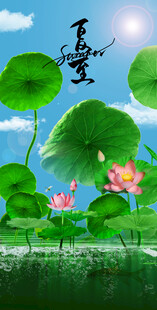 夏至海报
