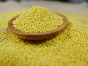 木碗中的金黄小米粒