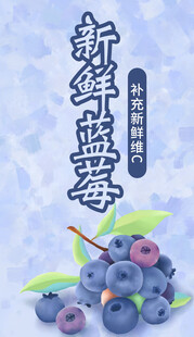 新鲜蓝莓 饱满多汁诱人