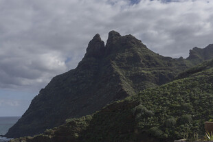 山峰 植被 