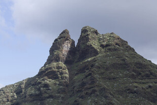 山峰 植被 