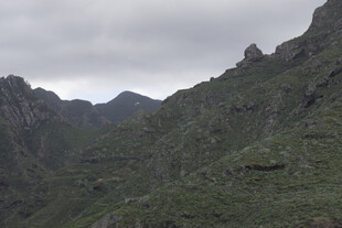 植被 山峰